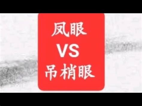 鳳眼面相男|有鳳眼的人面相運勢怎樣